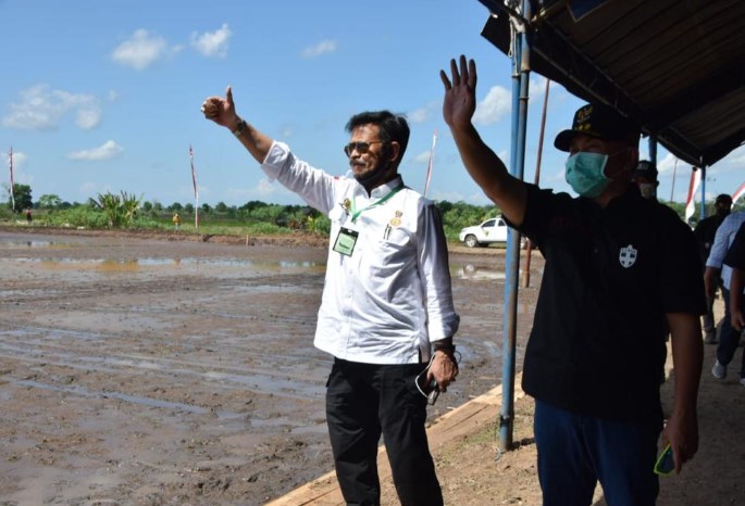 Tim Ahli Wapres Dukung Food Estate Pertanian di Kalimantan Tengah