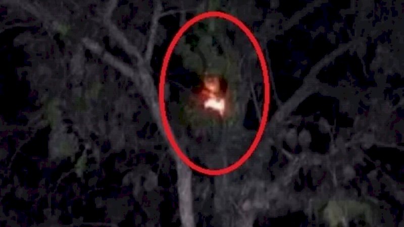 Viral! Video Penampakan Hantu Kuyang di Balikpapan