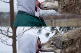 Wanita Penyayang Binatang Ini Tewas Diserang Singa