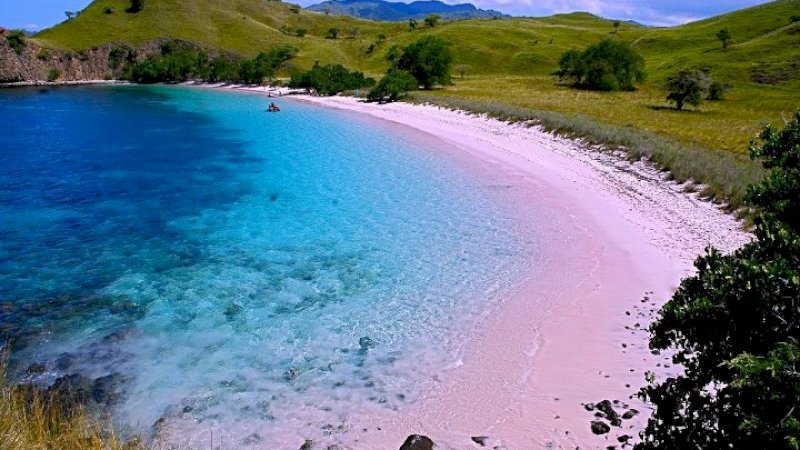 Pink Beach di Flores, NTT.