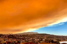 Asap Merah Mengepul di Atas Hobart, Evakuasi Massal dan Penerbangan Kacau