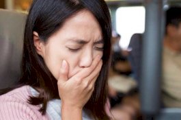 Mengapa Penumpang Mabuk Kendaraan sedangkan Sopir Tidak? Ini Penjelasan Ilmiahnya