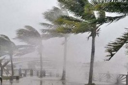 Peringatan BMKG: Hujan Disertai Angin Kencang Landa Luwu Raya