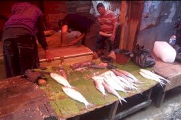 Cuaca Buruk, Harga Ikan Naik Rp10 Ribu