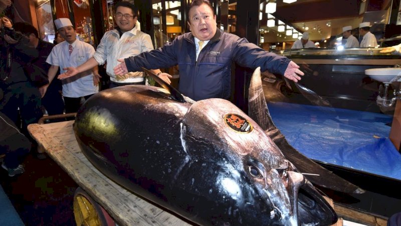 Ikan Ini Laris Dijual Seharga Rp45 Miliar