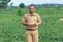 Honorer Sebut Kabid Pertanian Malas Berkantor, Bambang: 