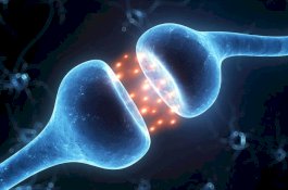 Ini Lima Zat Paling Buat Kecanduan di Bumi