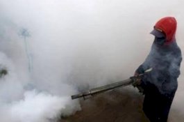 Cegah DBD, Dinkes Lutim Fogging Pemukiman Warga