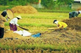 NTPP Sulsel Turun 0,06 Persen di Desember 2018