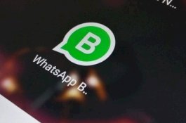 Sudah Bisa Balas Pesan Pribadi di Grup WhatsApp