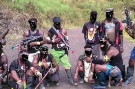 Ini Penampakan KKSB Lerymayu Telenggen yang Adang Pasukan TNI