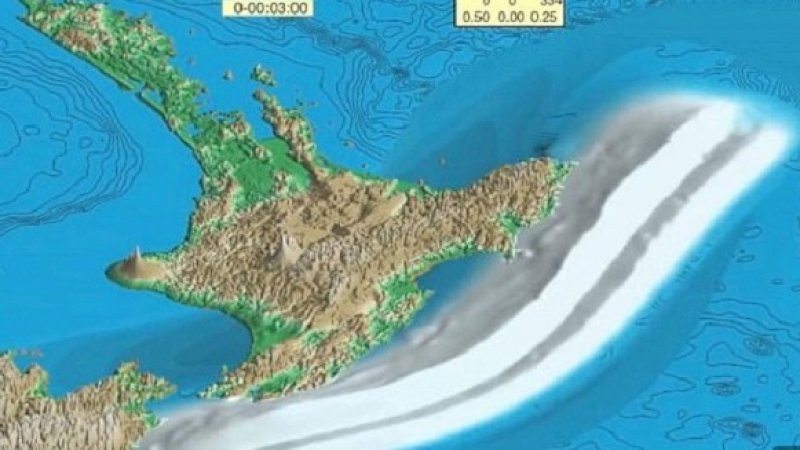 Ilustrasi tsunami di Selandia Baru.