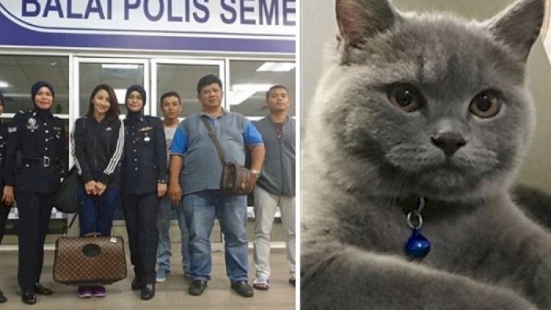 Rita Rudaini melapor ke polisi, setelah kehilangan Pekan, kucing kesayangannya.