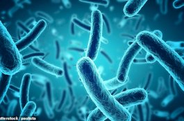 2 Jenis Bakteri Baru Ditemukan, Selain Mematikan Juga Kebal Antibiotik