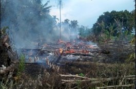 Kebakaran di Wotu, Satu Rumah Rata dengan Tanah