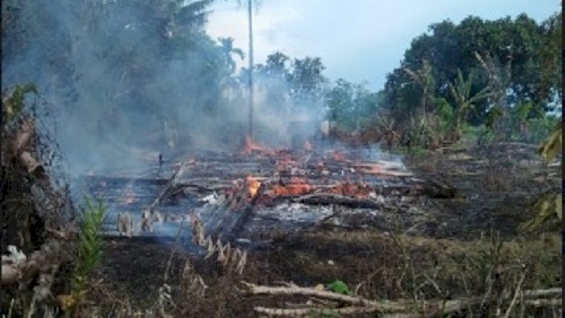 Puing-puing kebakaran di Desa Lampenai, Kecamatan Wotu, Luwu Timur.