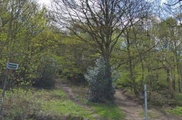 Wanita Ini Tak Sengaja Intip Ritual Aneh, Pasangan Bercinta Berlumuran Darah Burung