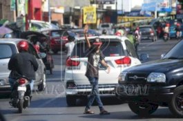 Tak Gentar, Pak Ogah Masih Gentayangan, di Depan Kantor Gubernur Pula