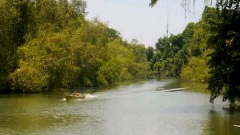 Mengenal Hutan Adat di Dusun Cerekang, Tak Sembarang Orang Boleh Masuk