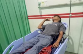 Melintas di Jalan Matahari, Ahmad Dani Ditimpa Ranting Pohon