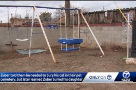 Ayah Kubur Bayinya di Taman, 