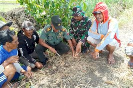 Bajak Sawah, Warga Wajo Temukan Granat Aktif