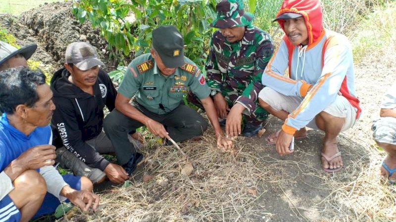 Bajak Sawah, Warga Wajo Temukan Granat Aktif