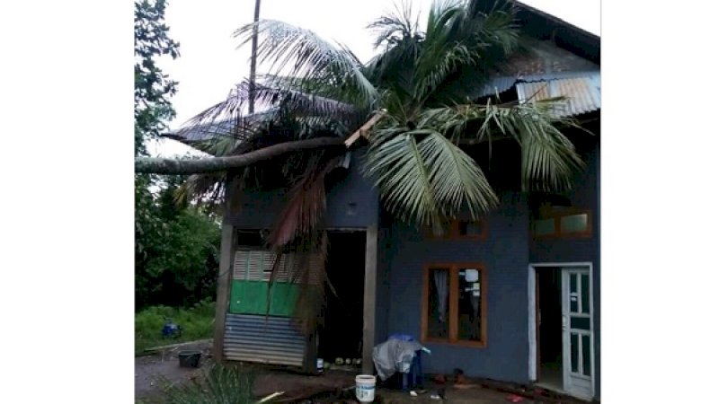 Pohon kelapa tumbang, menimpa rumah Irfan Daeng Parampang di Takalar.