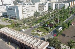 Mahasiswa yang Bepelukan di Kampus Tidak Jadi Dikeluarkan