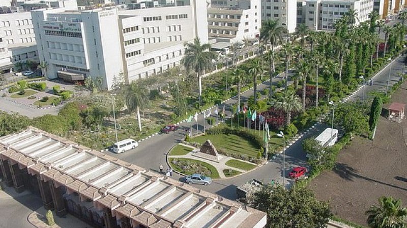 Universitas Mansoura