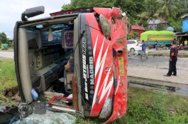 Bus Toraja Kecelakaan di Barru, Tiga Orang Luka-luka