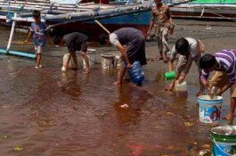 Minyak Tumpah di Parepare, Syahbandar Sebut MDO, Pertamina Ngotot Bilang Solar