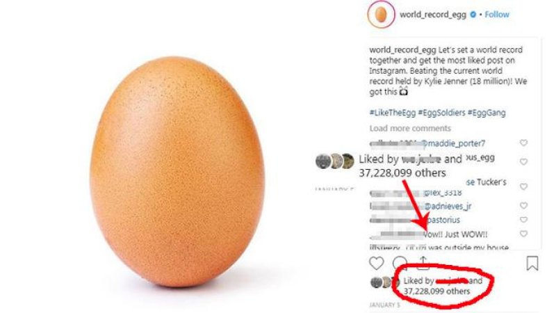 Telur ini Jadi Bintang Instagram, Disukai 31 Juta Orang 