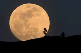 NASA dan China Berkolaborasi Dalam Eksplorasi Bulan