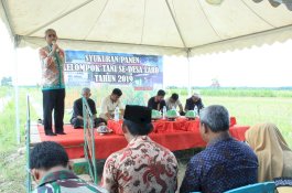 Pabrik Pengolahan Padi Bakal di Bangun di Burau