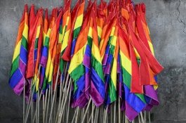 Wawancarai Pria Gay, Presenter TV Dihukum 1 Tahun Penjara