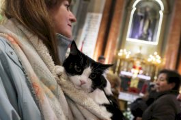 Warga Madrid Boyong Hewan Peliharaan ke Gereja untuk Diberkati