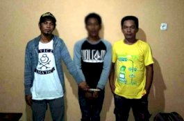 Anunya Digigit Semut Hitam, Pemuda Luwu Utara Gagal Cabuli ABG di Semak-Semak