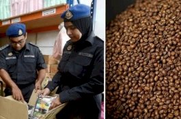 Pabrik Kopi Ini Ditutup Setelah Ditemukan Tahi Tikus Ikut Digiling
