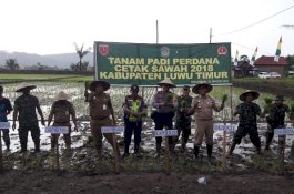 Cetak Sawah Baru Rampung, Bupati dan Jajaran TNI Tanam Perdana