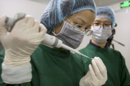 Polisi Temukan Wanita Kedua yang Hamil Janin dari Gen Edit