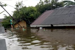 Air Sudah Hampir Mencapai Atap Rumah, Perumnas Antang Mencekam