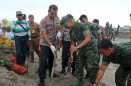 Cegah Abrasi, Polres dan Kodim 1404 Pinrang Tanam Bakau di Pesisir