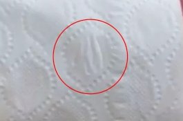 Heboh! Tissu Toilet Bergambar Lafaz Allah, Umat Muslim: Sengaja Menghina Agama Kita