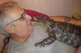 Dukungan Emosional Buaya Membantu Dia Mengatasi Depresi