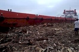 Terdampar di Tanjung Bayang, ABK Santai Bakar Ikan