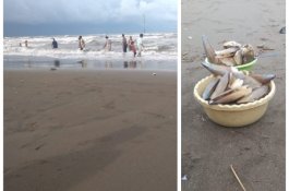 Rezeki Tak Pernah Tertukar! Nelayan Menganggur, Tiba-tiba Kerang Laut  Muncul di Pantai