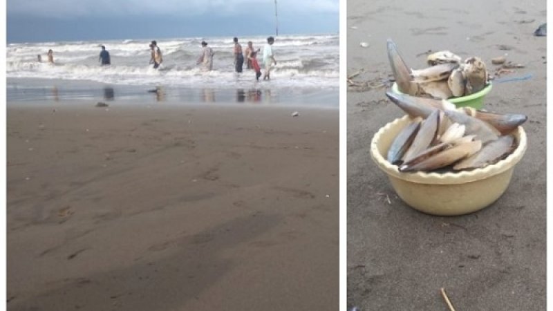 Warga mencari kerang laut di pesisir Pantai Galesong, Kamis (24/1/2019).