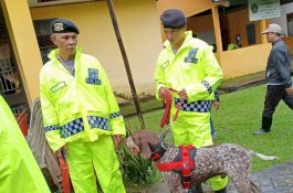 Pencarian Korban Longsor di Gowa Libatkan Anjing Pelacak