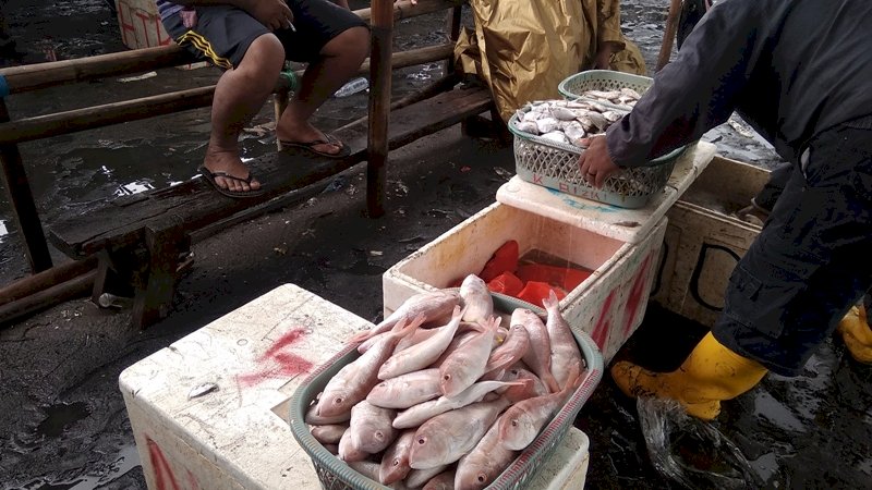 Cuaca Buruk, Harga Ikan Melonjak Drastis di Takalar